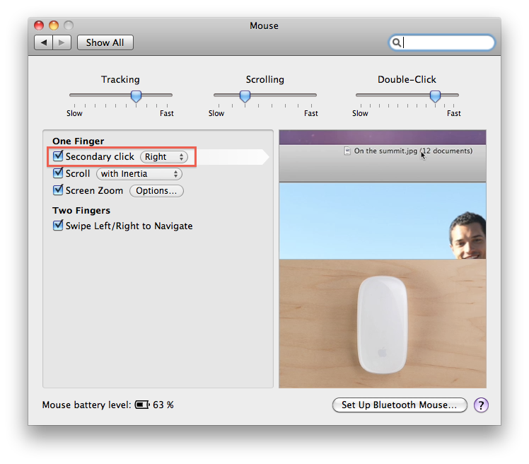 system_preferences_mouse.png