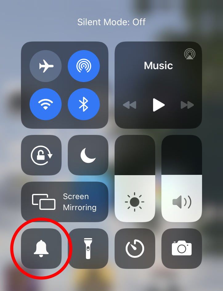 iPad Control Centre Silent Mode button